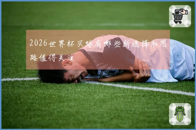 2026世界杯买球有哪些新选择和思路值得关注