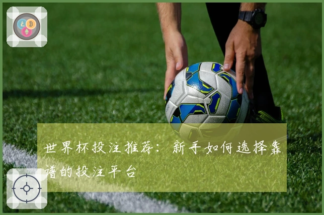 世界杯投注推荐：新手如何选择靠谱的投注平台