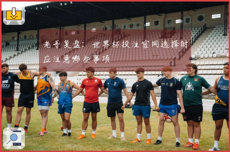 老手复盘：世界杯投注官网选择时应注意哪些事项