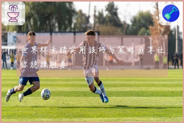 世界杯竞猜实用技巧与策略分享让你稳操胜券