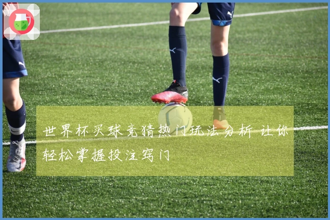 世界杯买球竞猜热门玩法分析 让你轻松掌握投注窍门