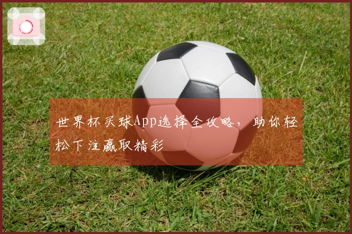 世界杯买球App选择全攻略，助你轻松下注赢取精彩