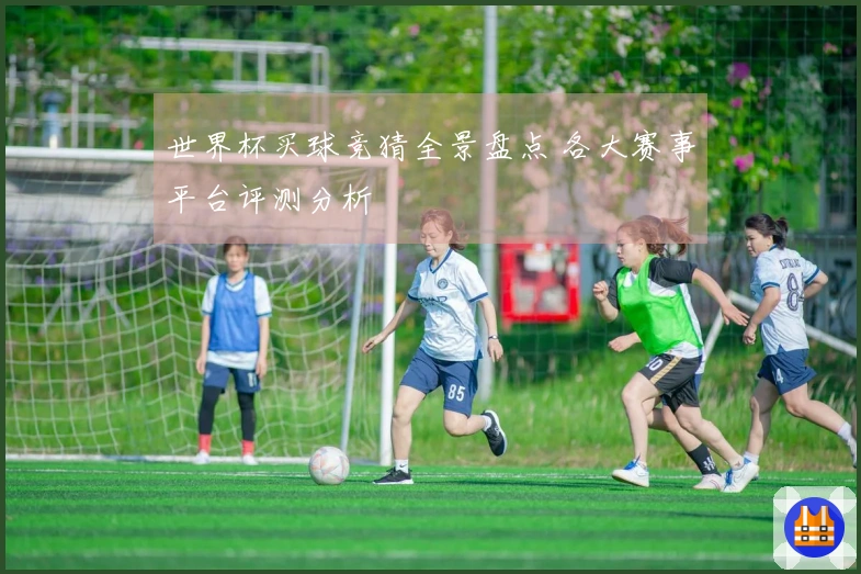 世界杯买球竞猜全景盘点 各大赛事平台评测分析