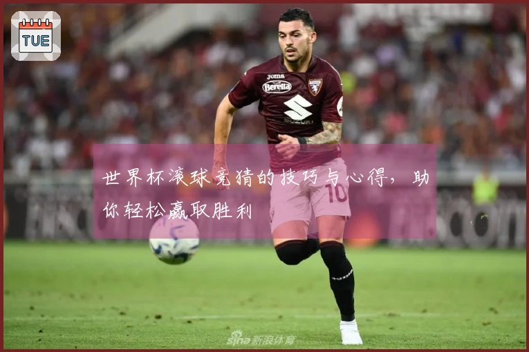 世界杯滚球竞猜的技巧与心得，助你轻松赢取胜利