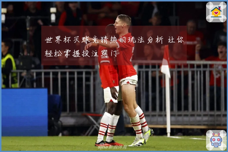 世界杯买球竞猜热门玩法分析 让你轻松掌握投注窍门