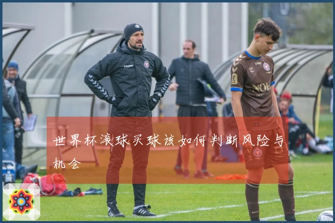 世界杯滚球买球该如何判断风险与机会