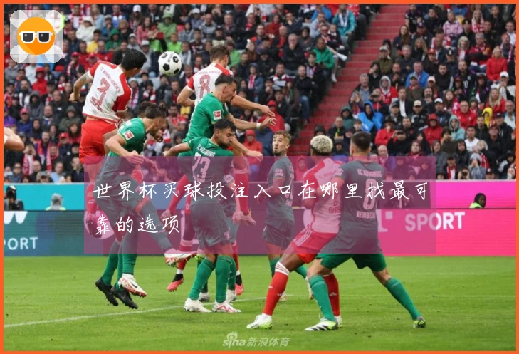 世界杯买球投注入口在哪里找最可靠的选项