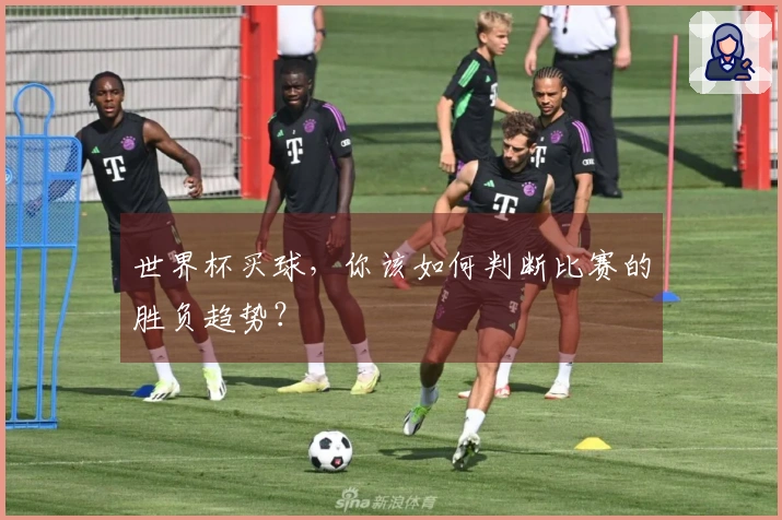 世界杯买球，你该如何判断比赛的胜负趋势？