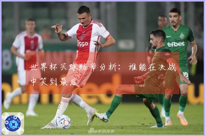 世界杯买球赔率分析：谁能在决战中笑到最后