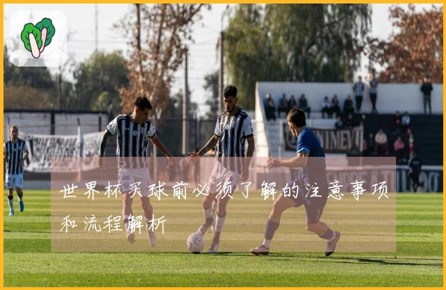 世界杯买球前必须了解的注意事项和流程解析