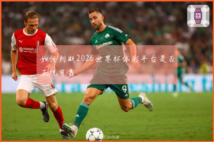 如何判断2026世界杯体彩平台是否正规可靠