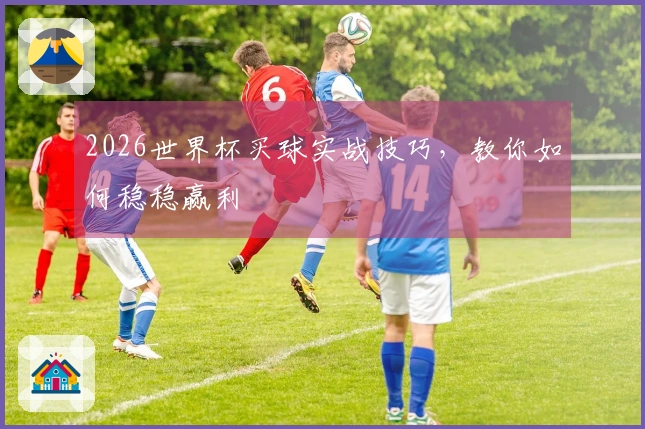 2026世界杯买球实战技巧，教你如何稳稳赢利
