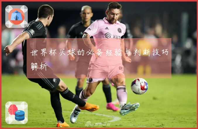 世界杯买球的必备经验与判断技巧解析