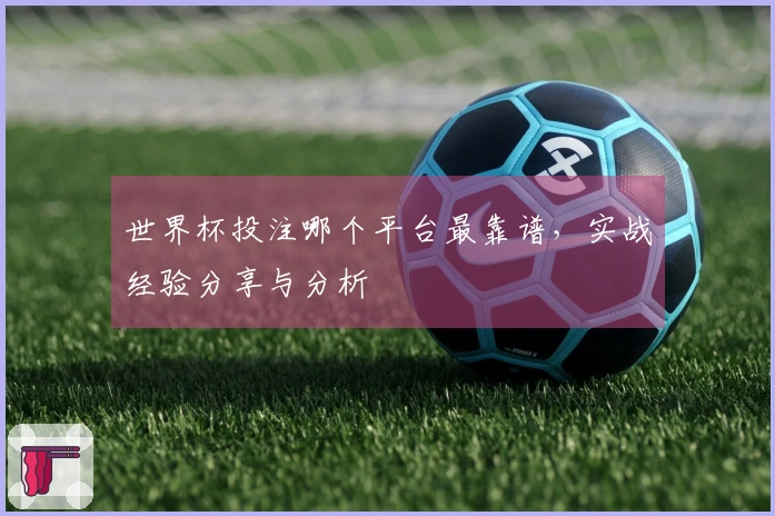 世界杯投注哪个平台最靠谱，实战经验分享与分析