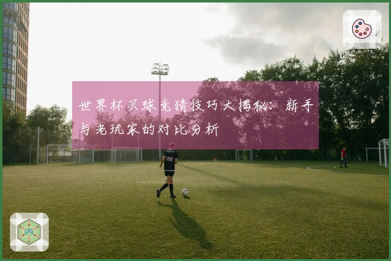 世界杯买球竞猜技巧大揭秘：新手与老玩家的对比分析