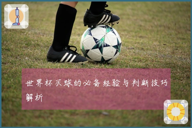 世界杯买球的必备经验与判断技巧解析