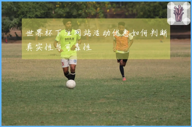 世界杯下注网站活动优惠如何判断真实性与可靠性