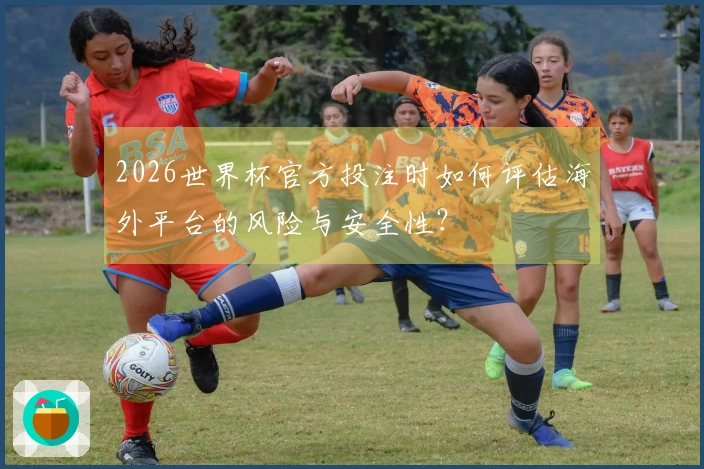 2026世界杯官方投注时如何评估海外平台的风险与安全性？