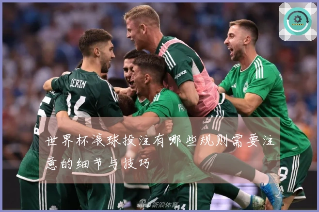 世界杯滚球投注有哪些规则需要注意的细节与技巧