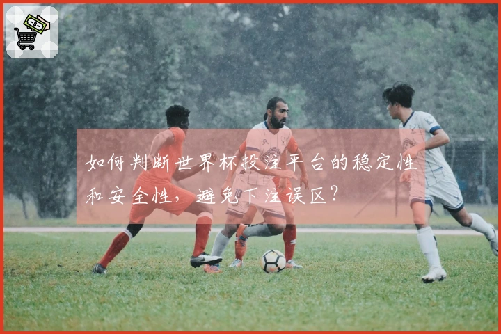 如何判断世界杯投注平台的稳定性和安全性，避免下注误区？