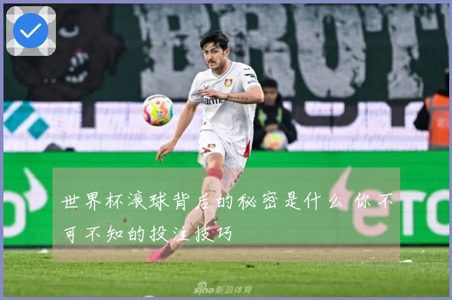 世界杯滚球背后的秘密是什么 你不可不知的投注技巧