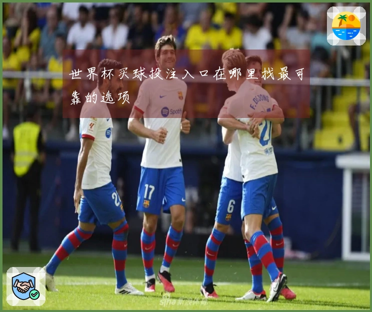 世界杯买球投注入口在哪里找最可靠的选项