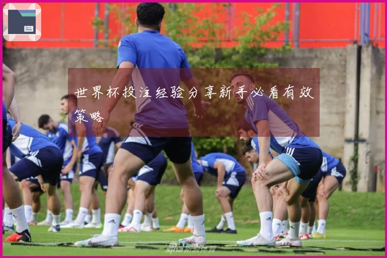 世界杯投注经验分享新手必看有效策略