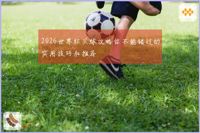 2026世界杯买球攻略你不能错过的实用技巧和推荐