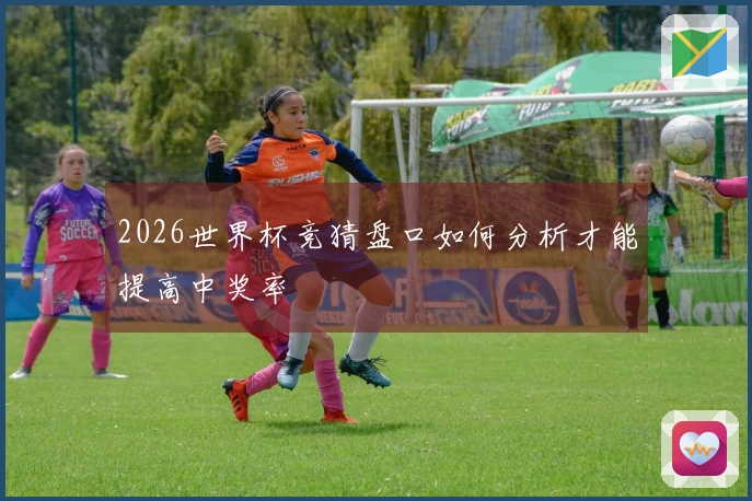 2026世界杯竞猜盘口如何分析才能提高中奖率