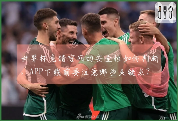 世界杯竞猜官网的安全性如何判断，APP下载前要注意哪些关键点？