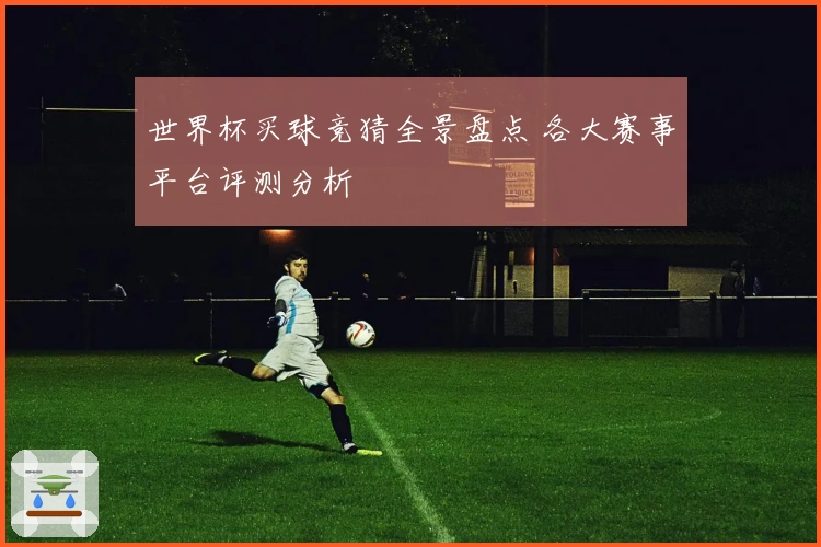 世界杯买球竞猜全景盘点 各大赛事平台评测分析