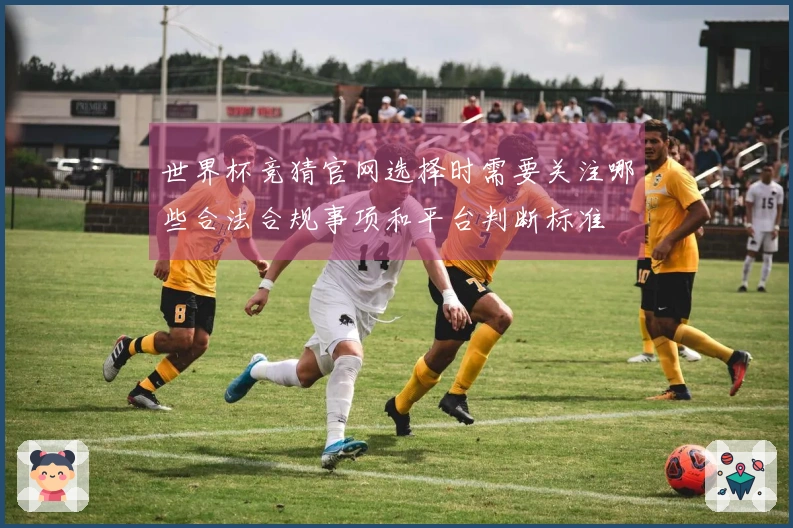 世界杯竞猜官网选择时需要关注哪些合法合规事项和平台判断标准